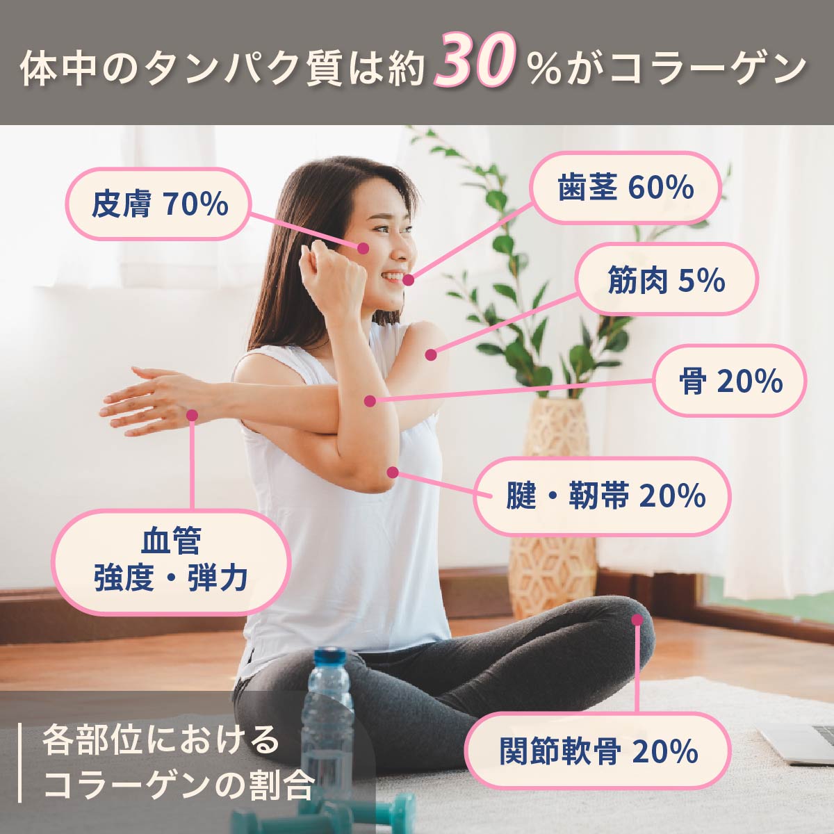 COLPE 天然海洋魚皮由来 コラーゲンペプチド